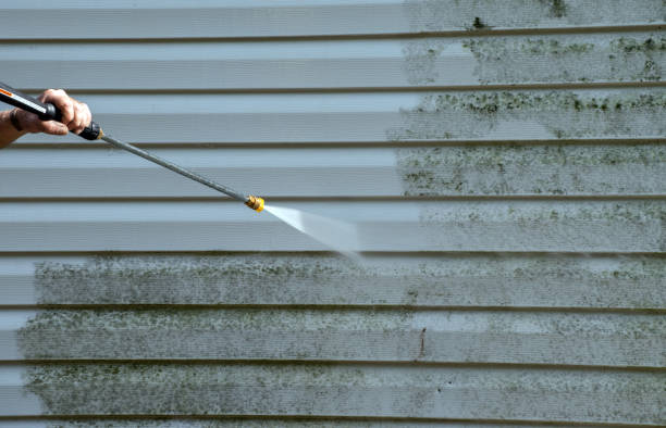 Local Pressure Washing Services in Kenton, OH